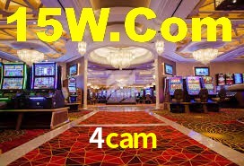 4cam App Interface