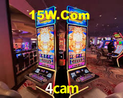 4cam